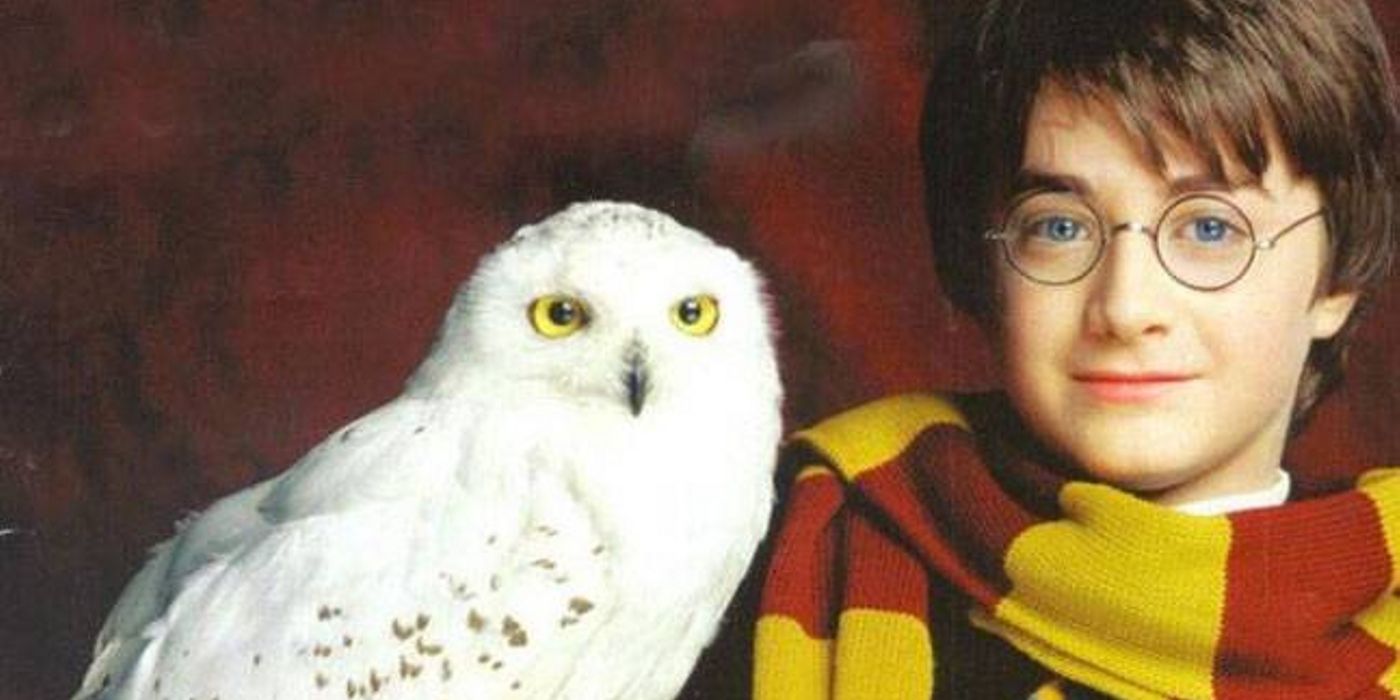 Harry Potter: 10 Times Hedwig Was the Most Loyal Pet