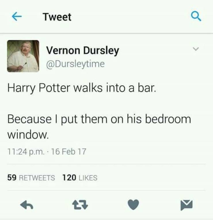 Harry Potter 10 Hysterical Dursley Logic Memes Screenrant
