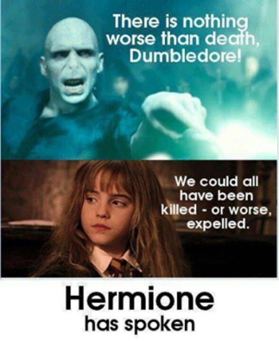 Harry Potter 10 Hilarious Hermione Memes Only True Fans