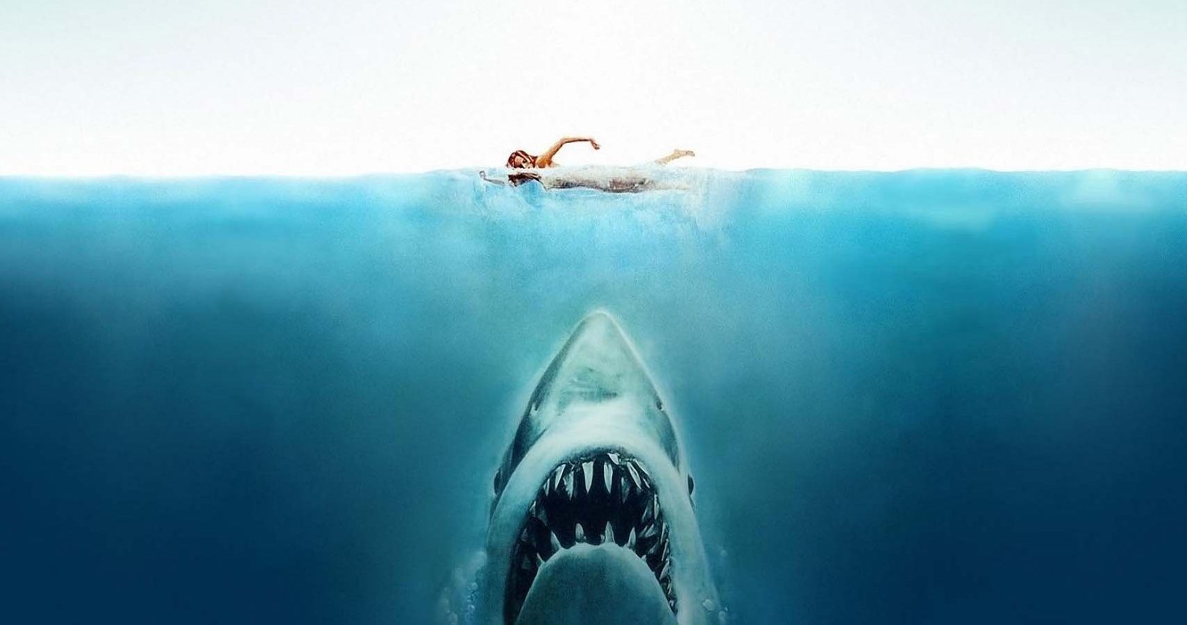 10 Hidden Details You Never Noticed In Jaws