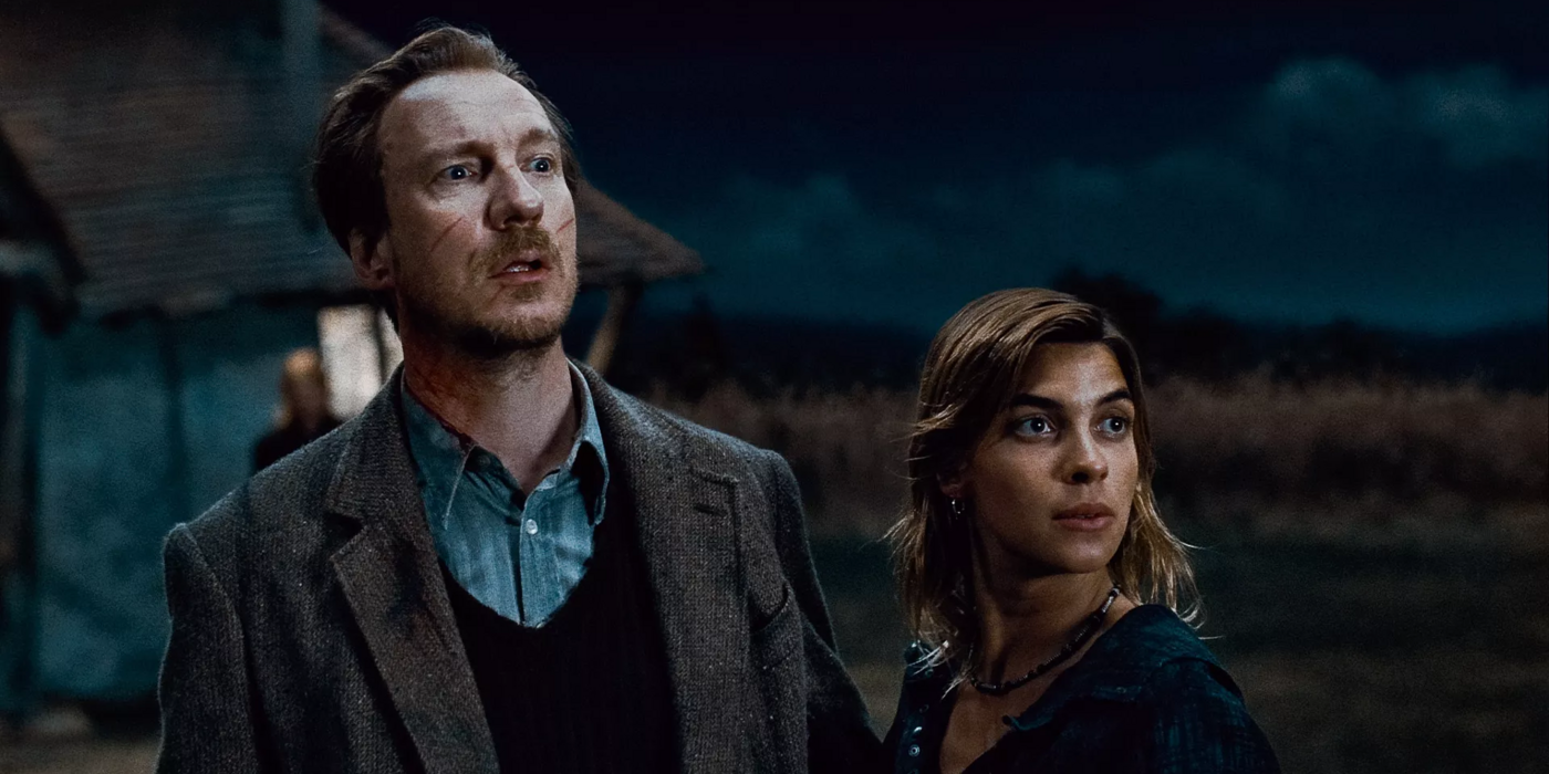 Lupin with Tonks after the Battle of the Seven Potters