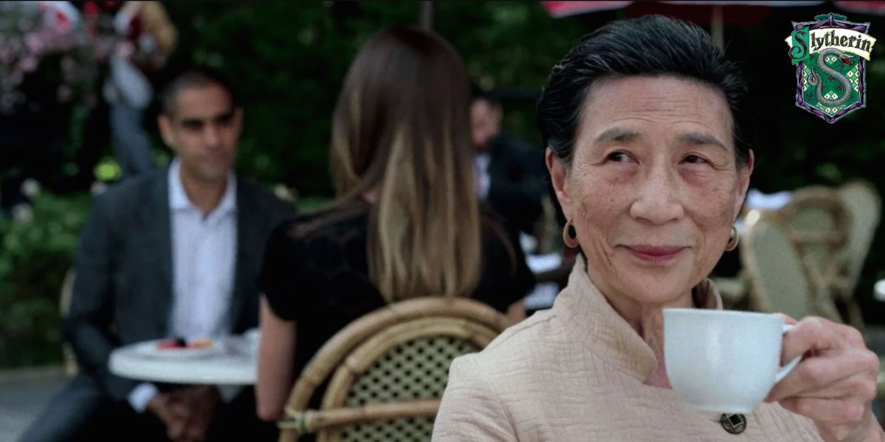 Madame Gao Iron Fist Slytherin