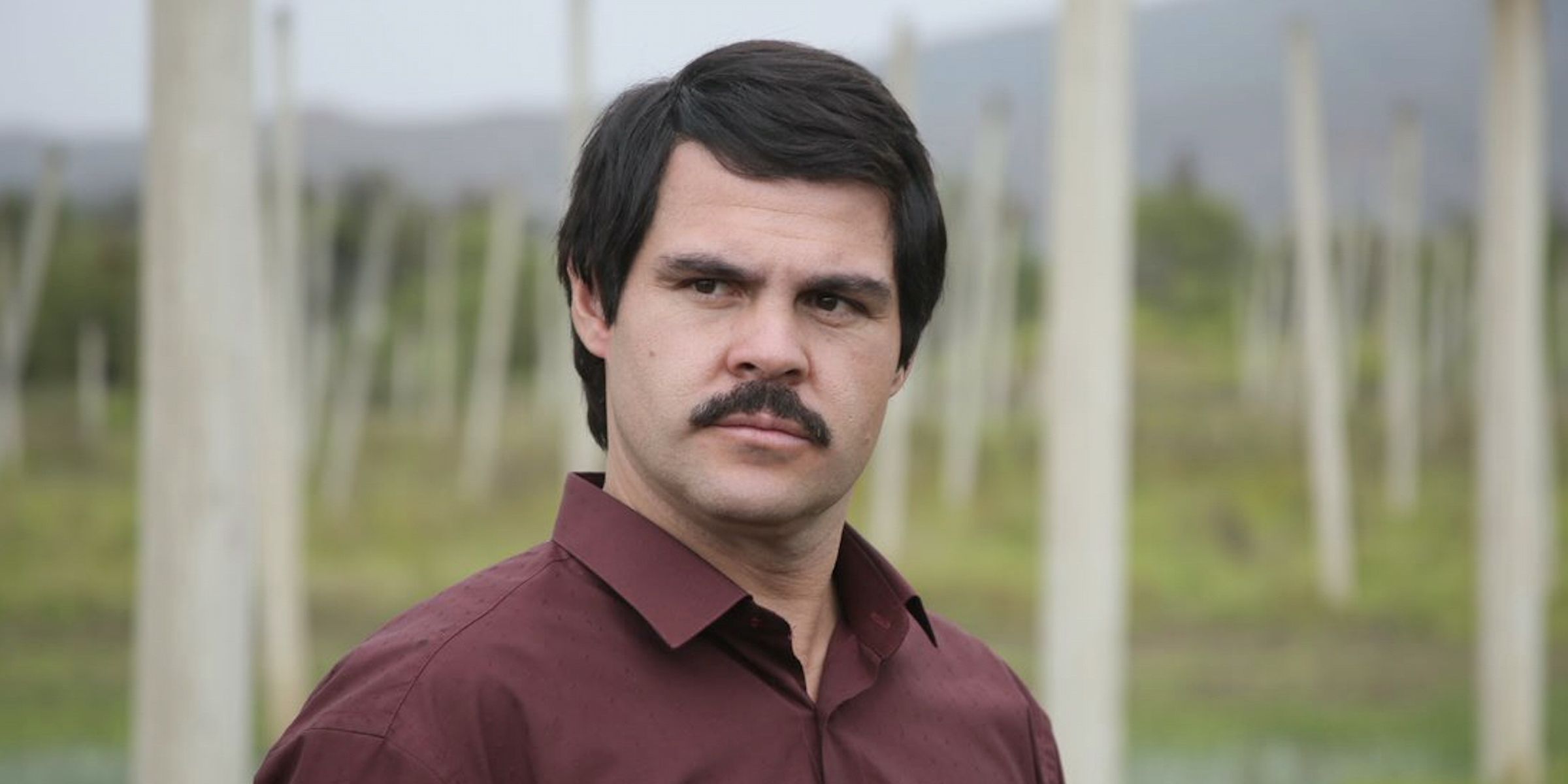 Marco de la or in El Chapo