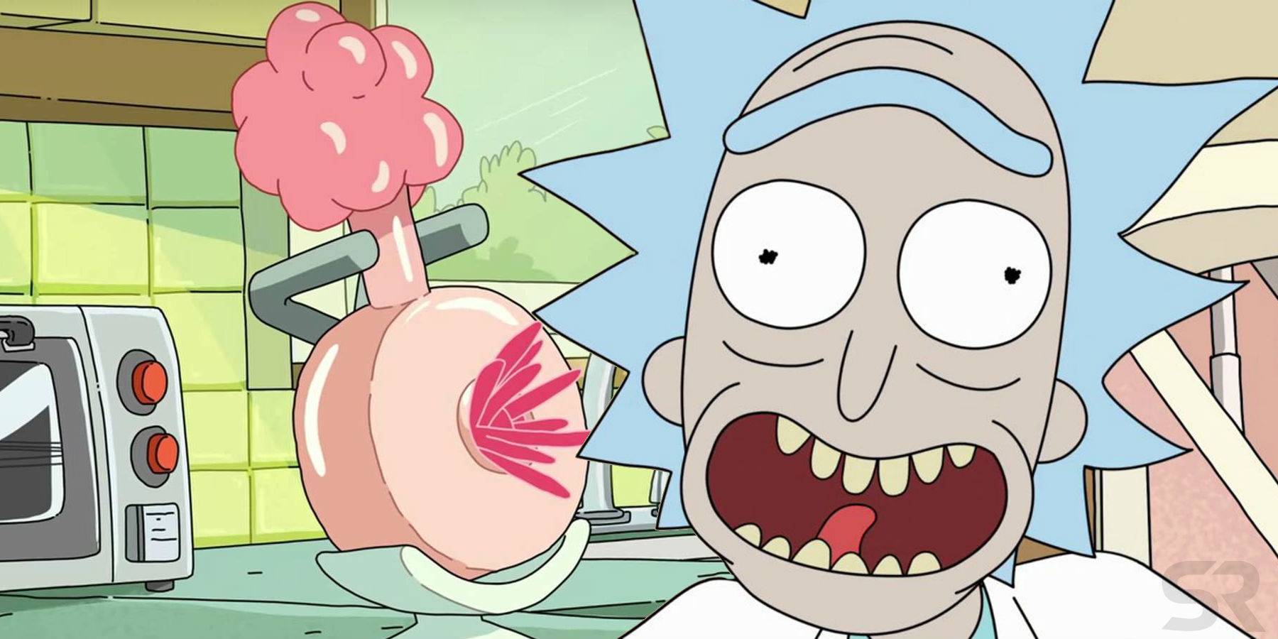 What is a plumbus rick and morty