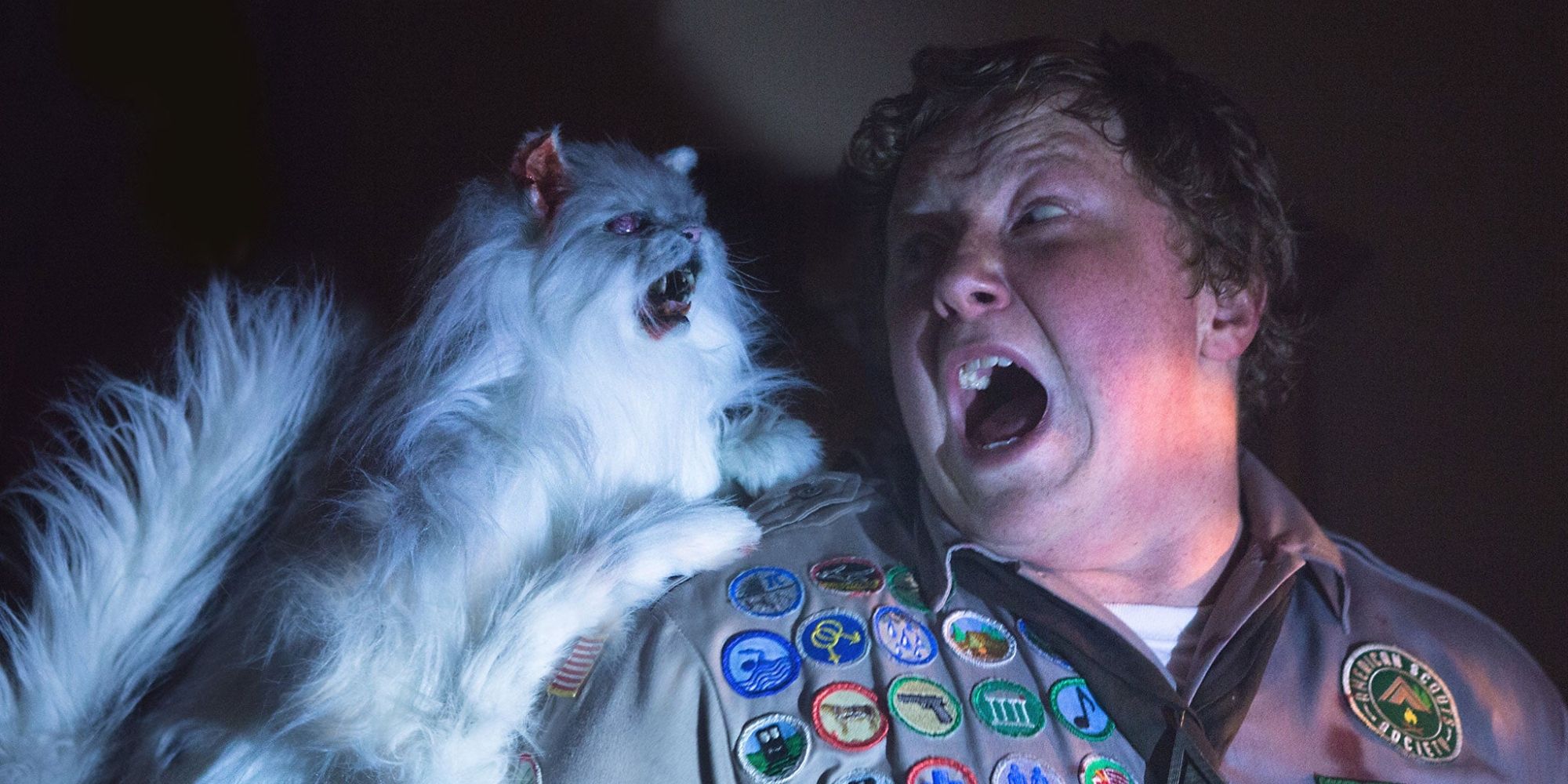 Scouts Guide To The Zombie Apocalypse zombie cat
