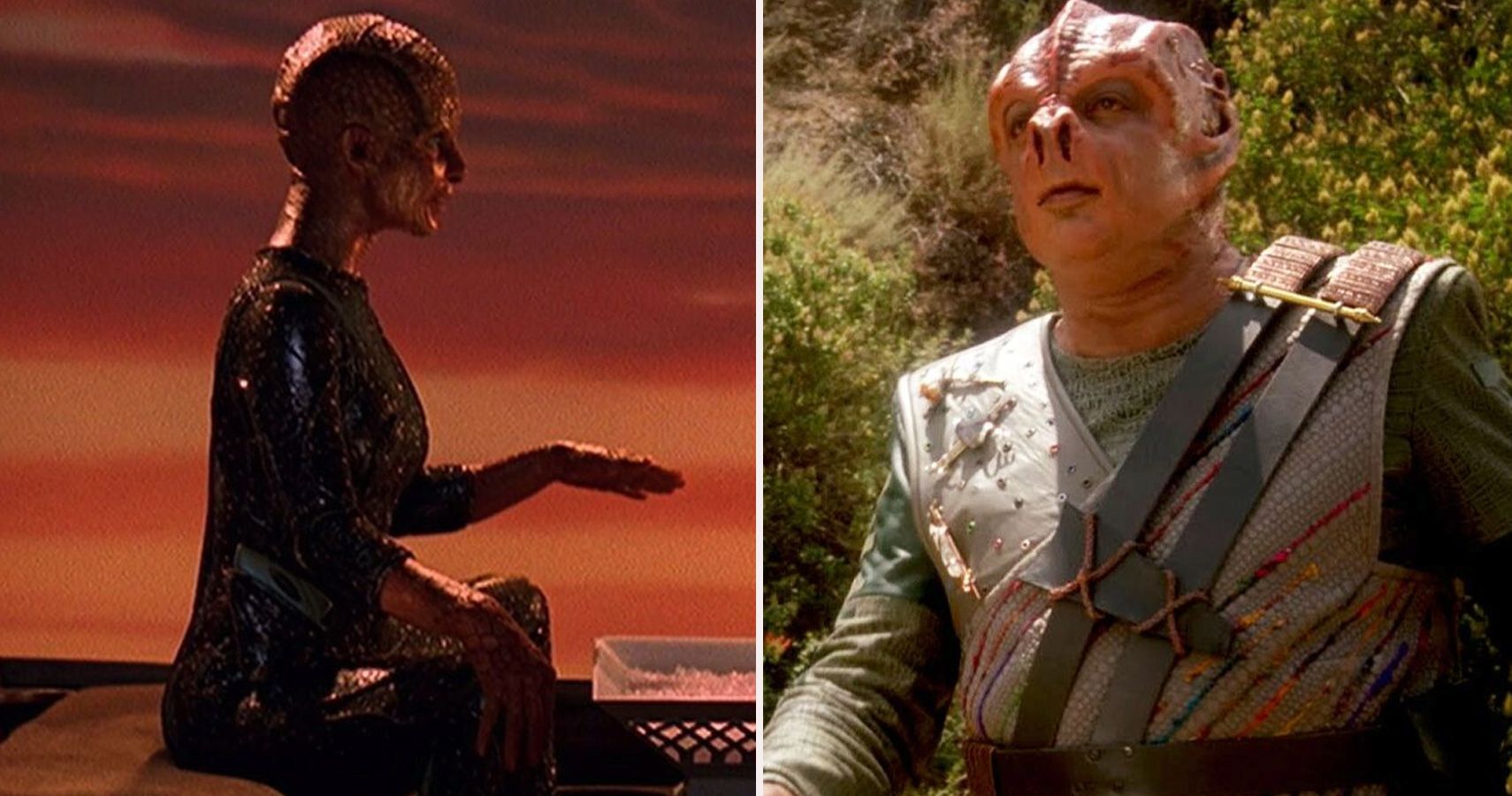 Star Trek 10 Fascinating Alien Species Fans Know Nothing About