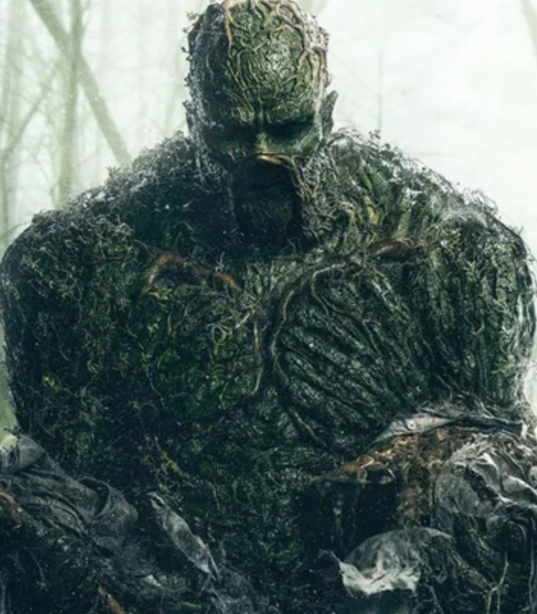 Swamp Thing Poster Vertical