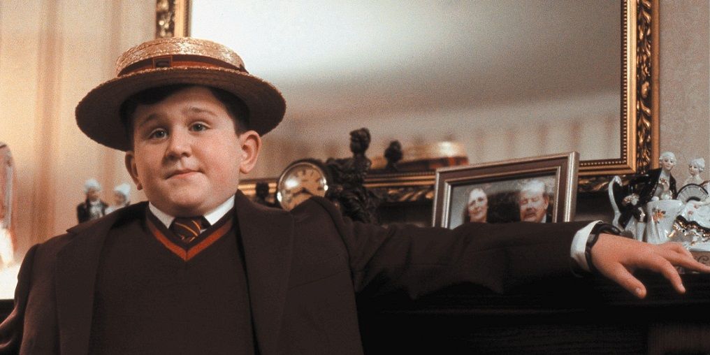 dudley dursley harry potter