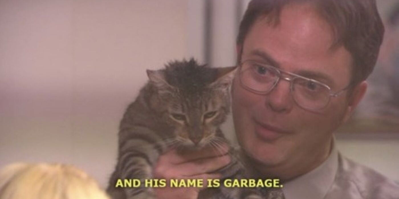 Dwight gives Angela a cat in The Office