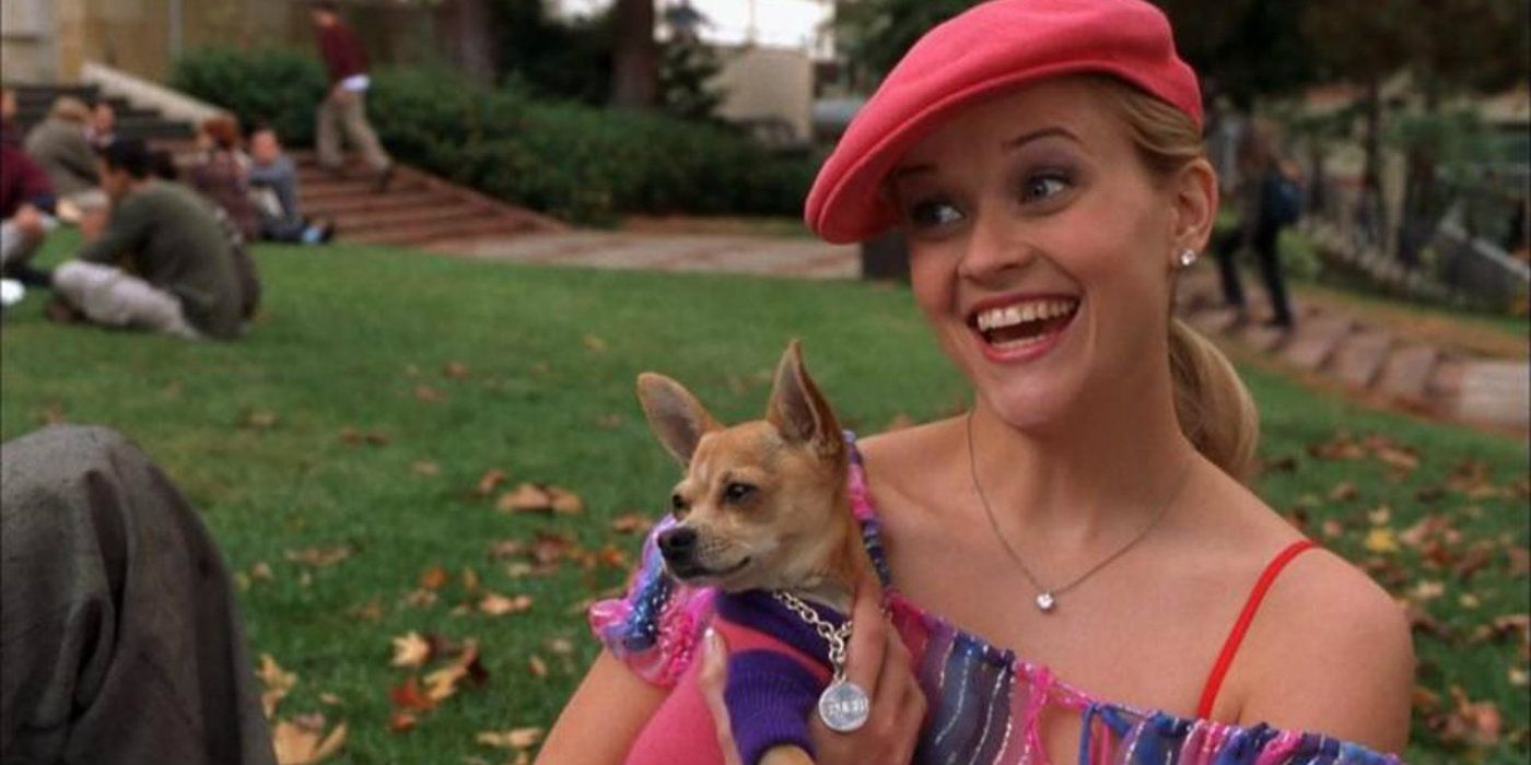 Legally Blonde': Interesting and Unique Things to Know