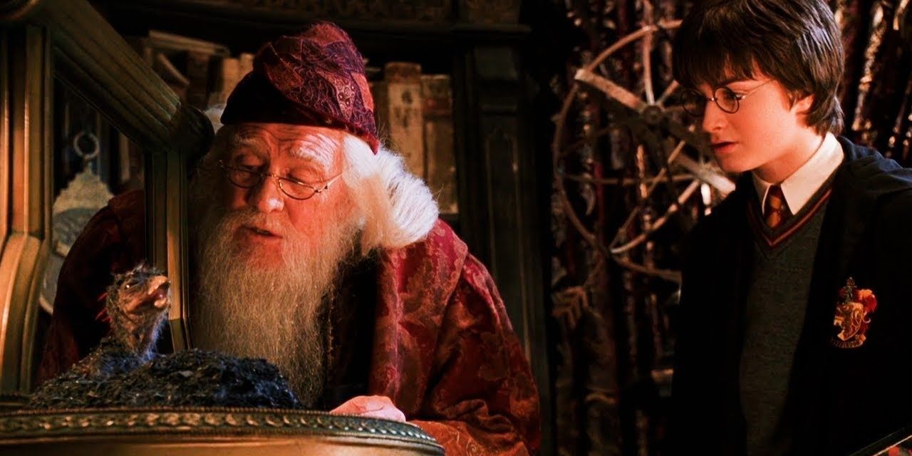 Harry and Dumbledore looking at the remains of Fawkes in Harry Potter