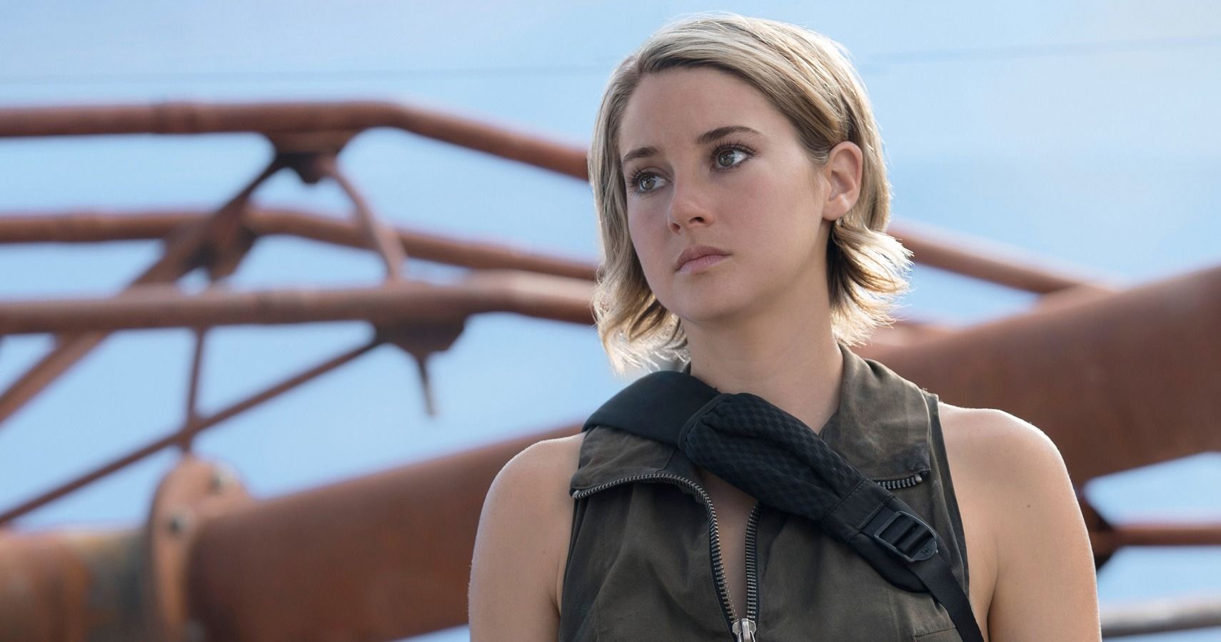 Shailene Woodleys 10 Best Movies According To Rotten Tomatoes 