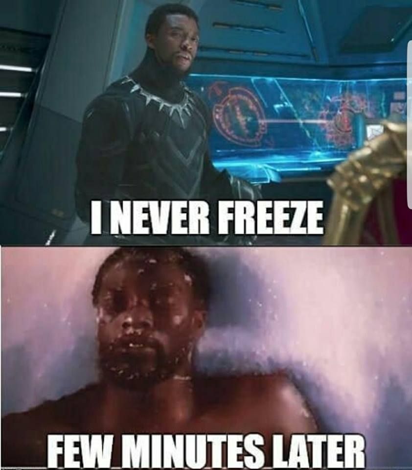 MCU 10 Black Panther Memes That Will Have You Dying Of Laughter -  