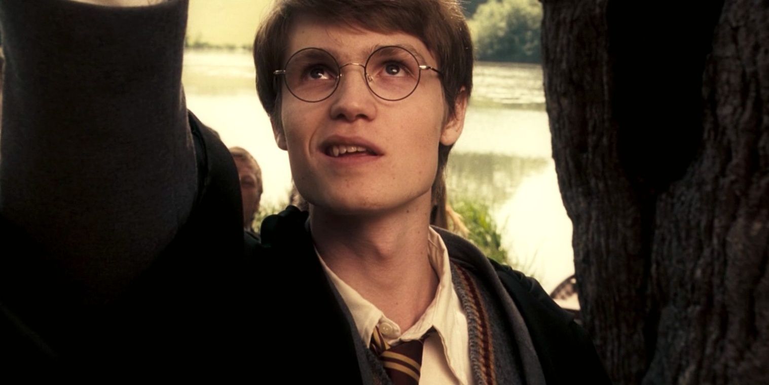 James Potter as a teenager in Harry Potter