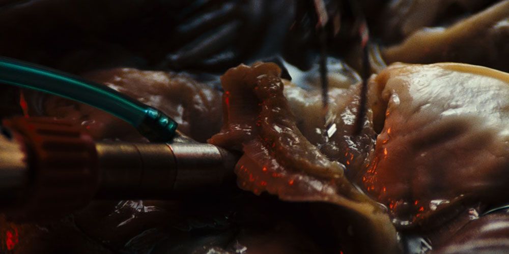 Facehugger autopsy in Alien