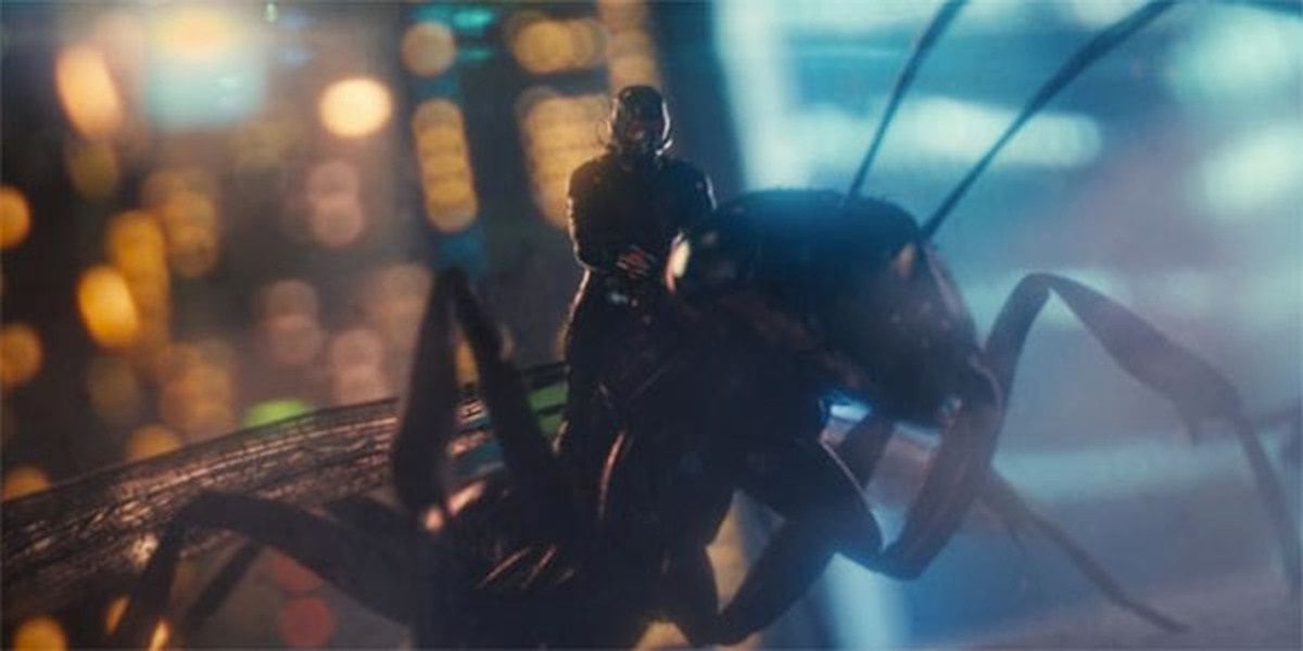 Ant-Man riding Antony the ant in Ant-Man