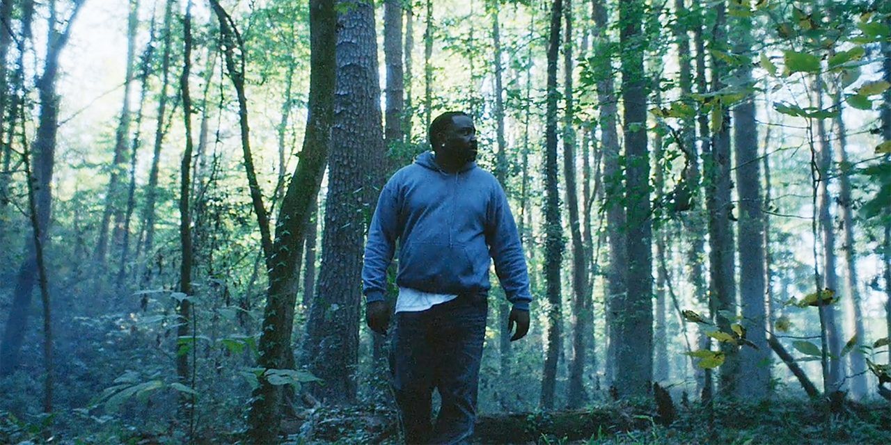 Al lost in the woods