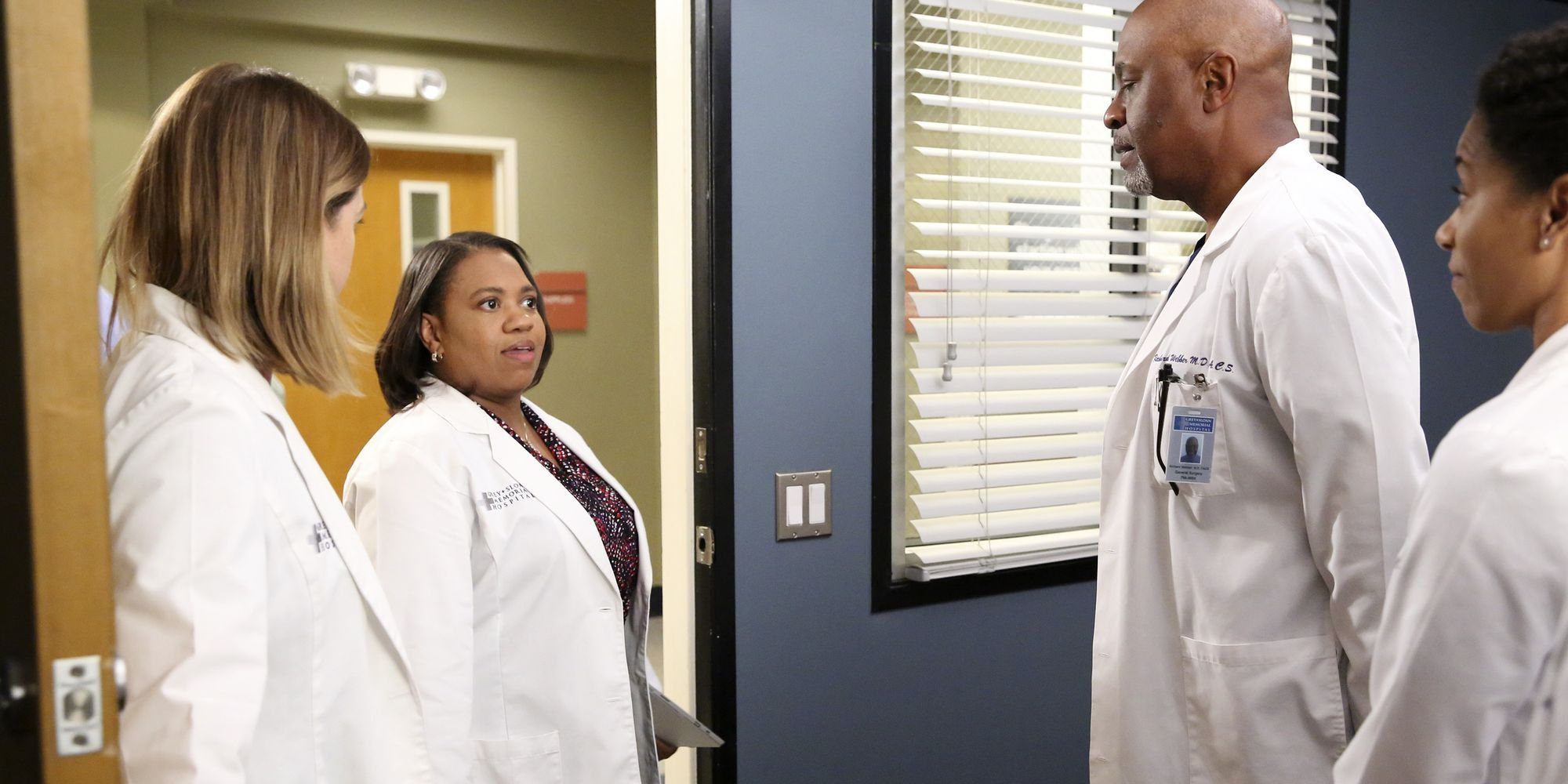 Bailey with Meredith and Webber