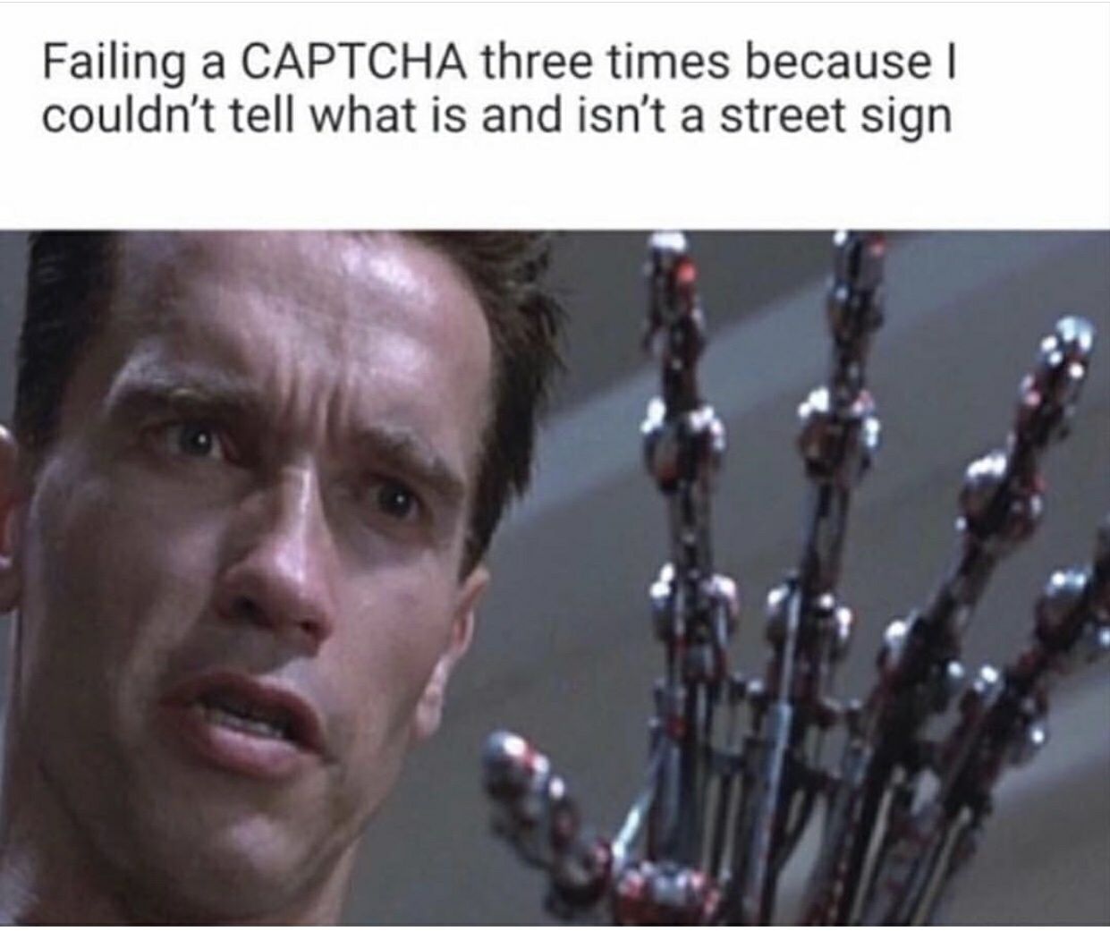 Terminator 10 Hilarious Memes Only True Fans Will Understand