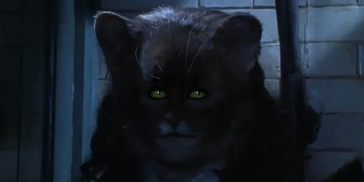 Emma Watson as Hermione in Cat Form (Steals)
