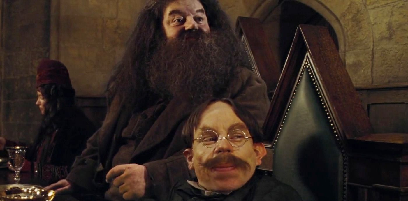 Harry Potter 10 Reasons Why Hagrid & Dumbledore Arent Real Friends