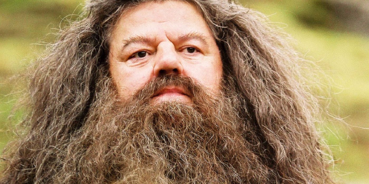 Hagrid looking to the distance in Harry Potter.