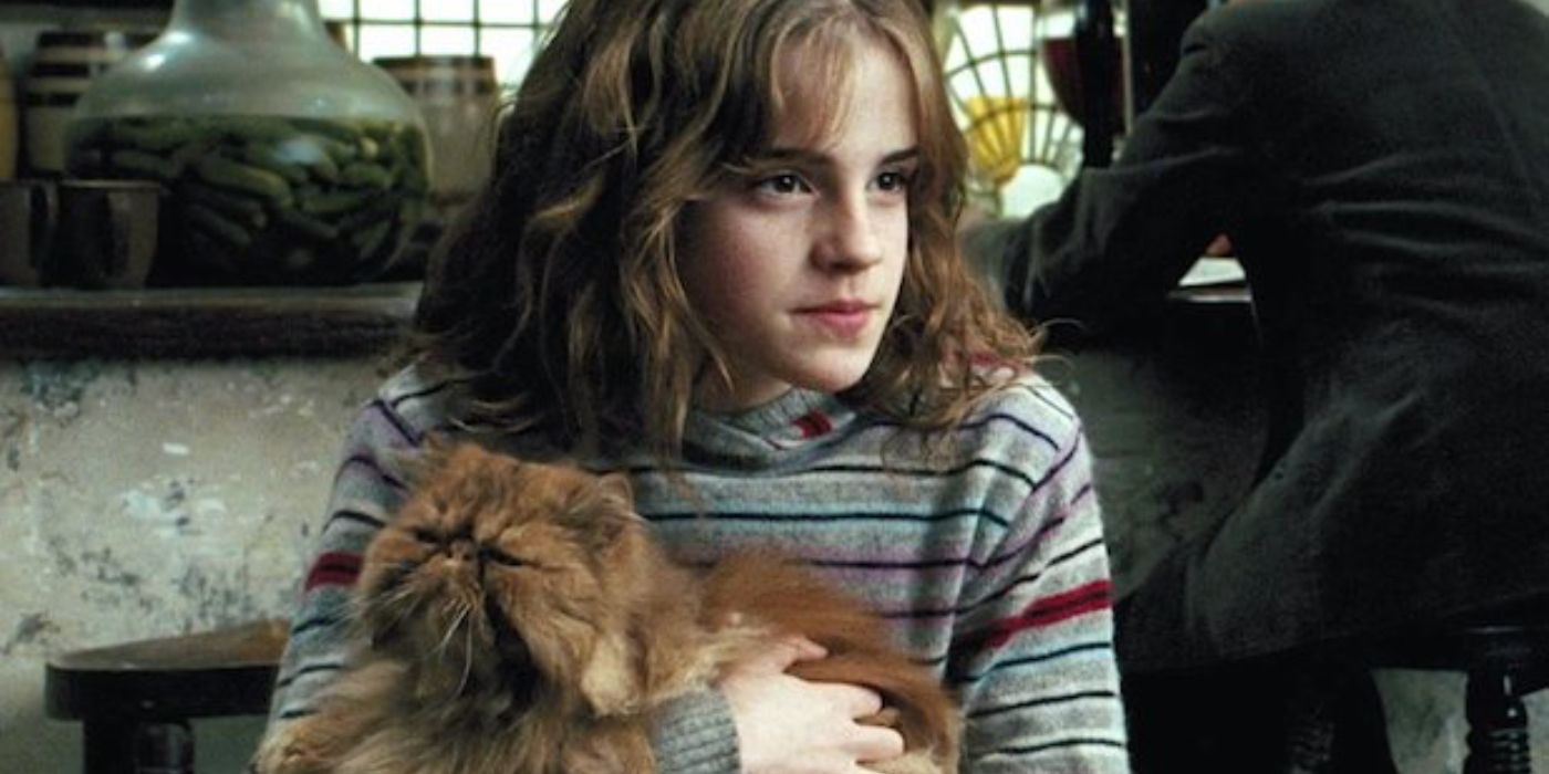 Hermione with Crookshanks in Harry Potter 