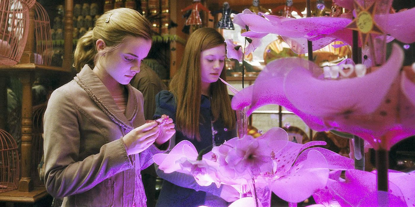 Hermione looking at love potions in Harry Potter