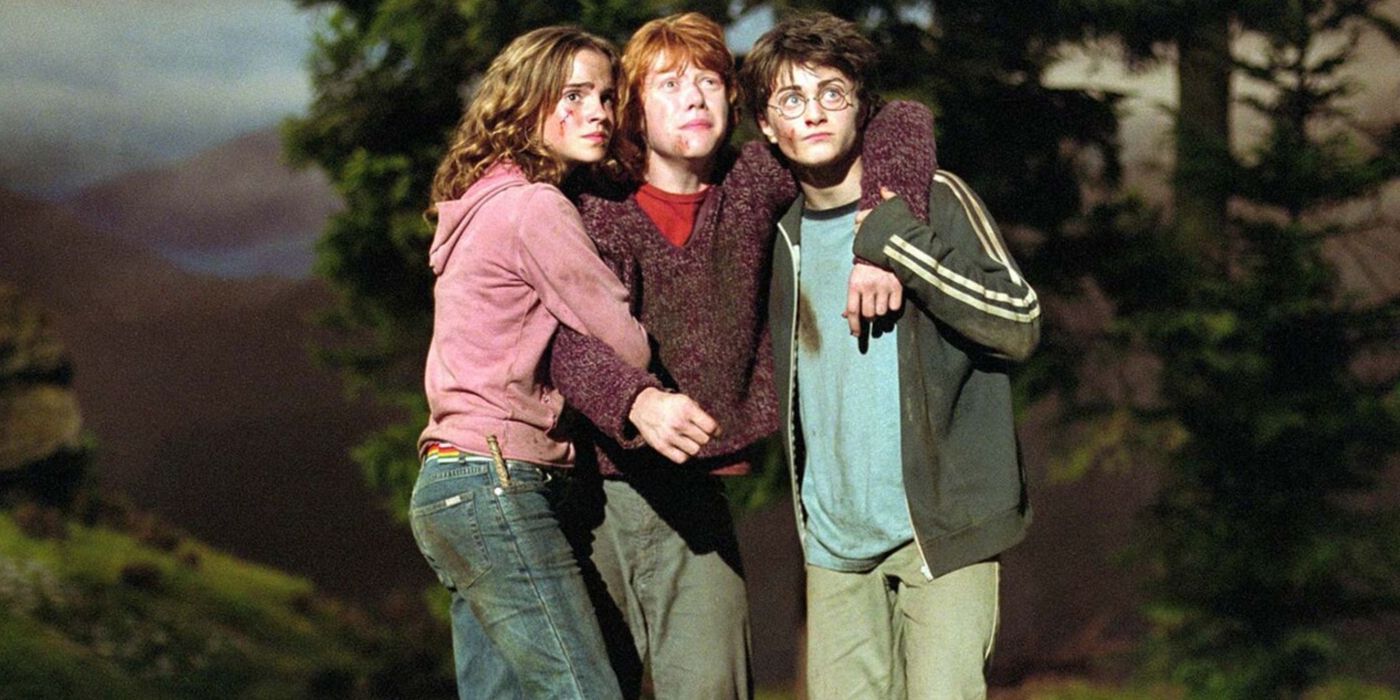 Harry Potter Ron, Hermione, and Harry