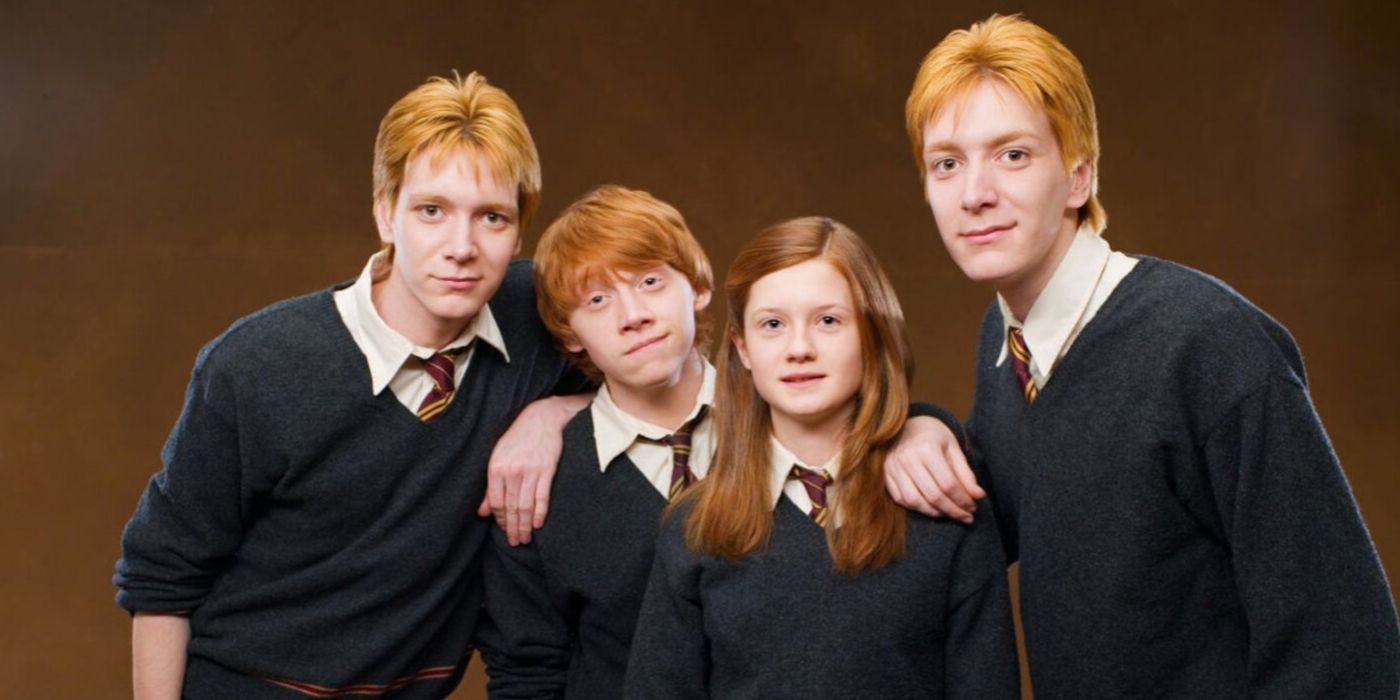Harry Potter The Weasley Family