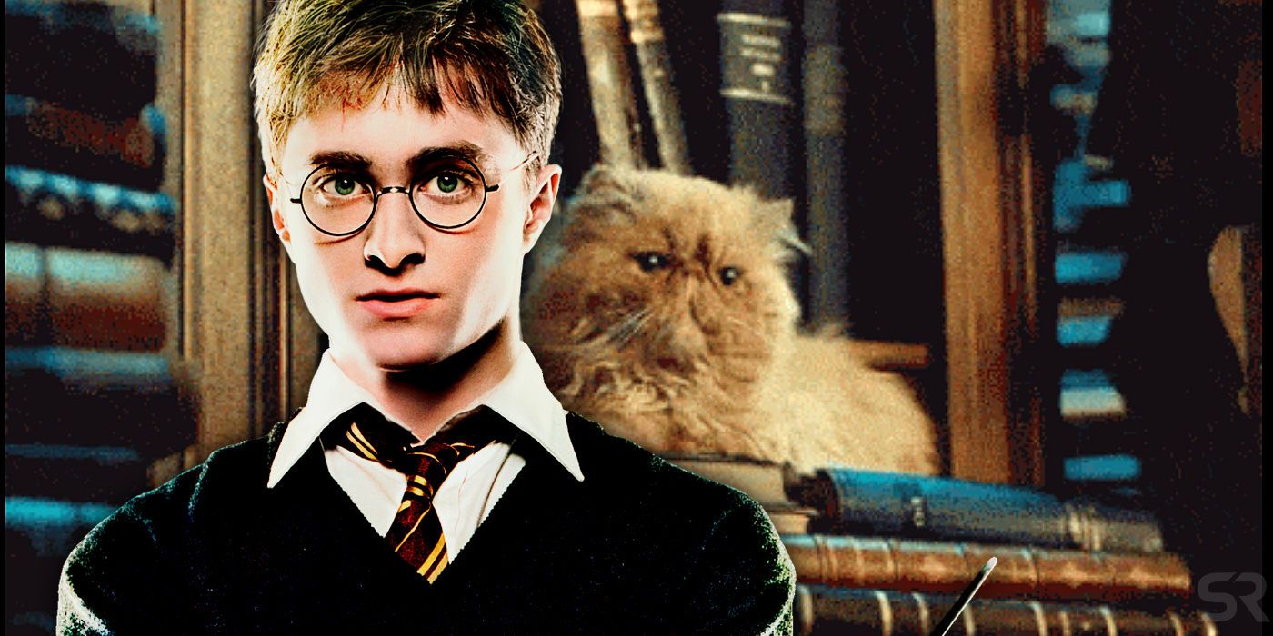 Harry Potter and Crookshanks Cat