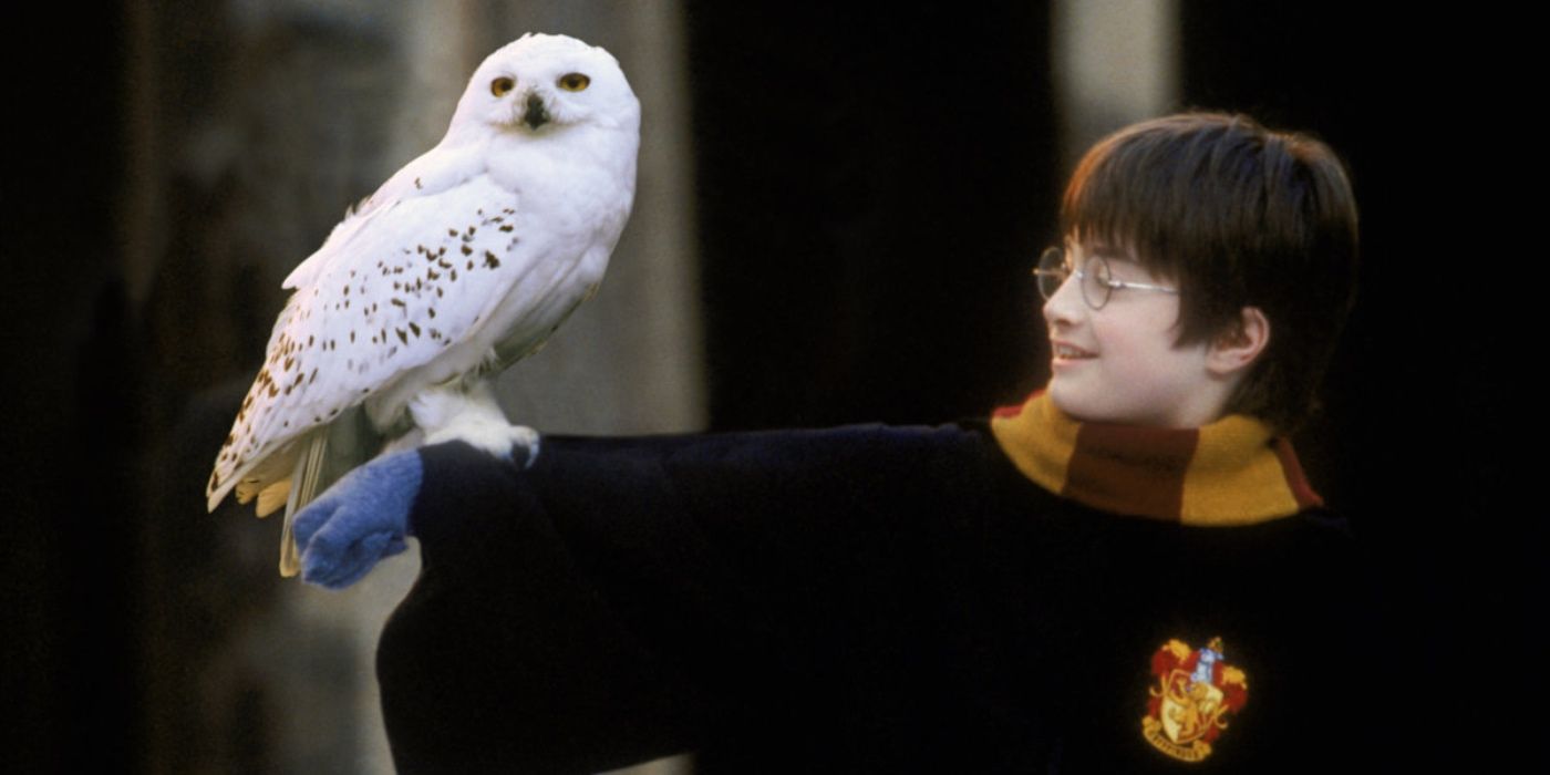 Harry Potter segura Edwiges na neve na Pedra Filosofal