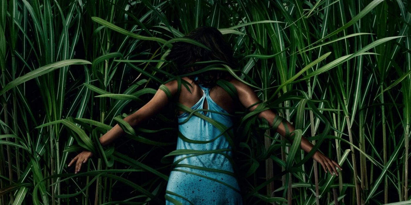 A woman walks through tall stalks of grass.