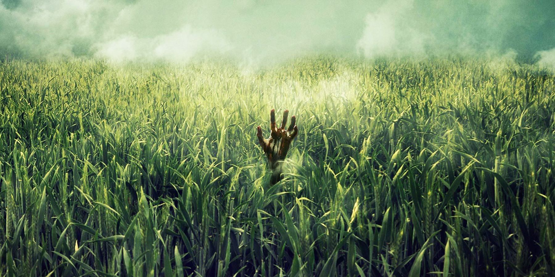 A hand rises in the In The Tall Grass poster.