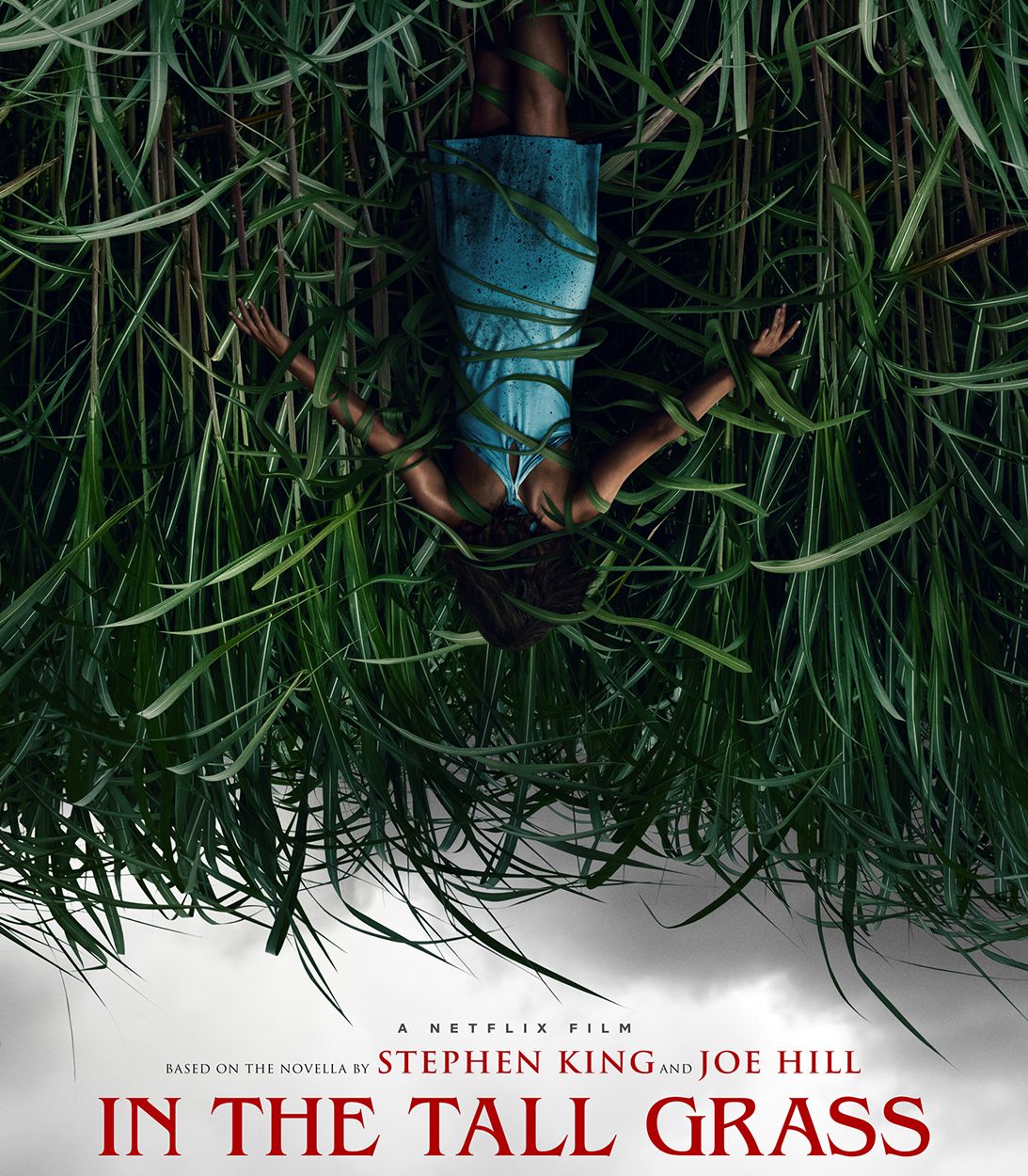 In the Tall Grass poster vertical