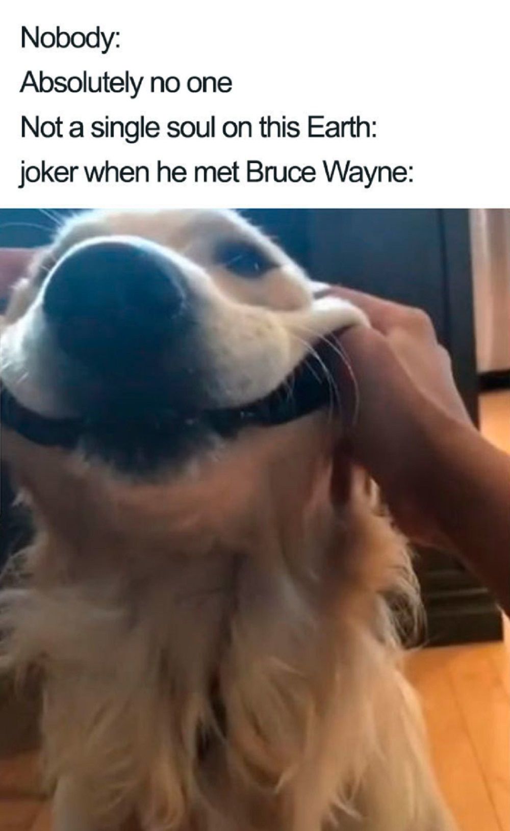 Joker Meme putting fingers into bruce&rsquo;s mouth