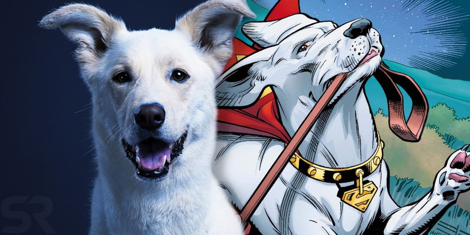 Titans Krypto The Superdogs Origins And Powers Explained