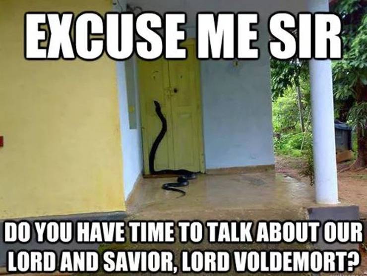 Harry Potter 10 Hilarious Voldemort Memes Only True Fans Will Understand