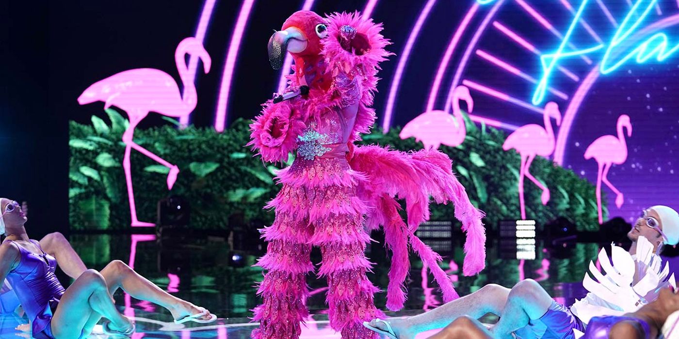 Masked Singer Flamingo