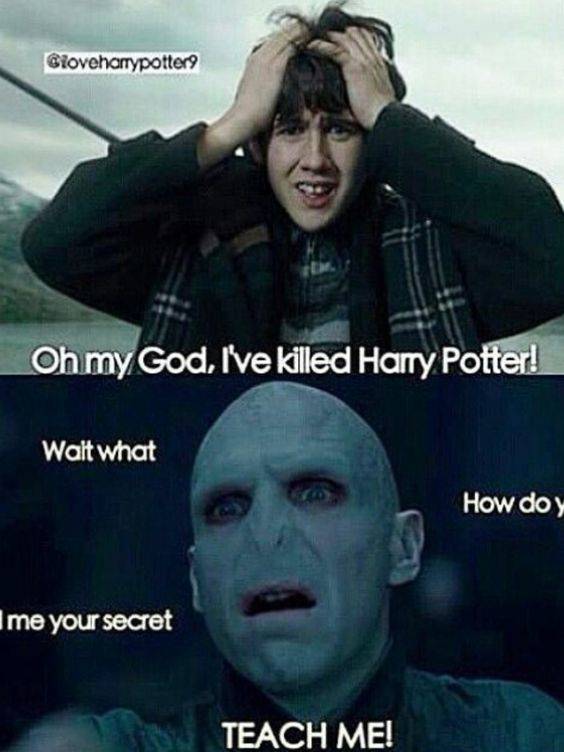 Harry Potter 10 Hilarious Voldemort Memes Only True Fans Will Understand