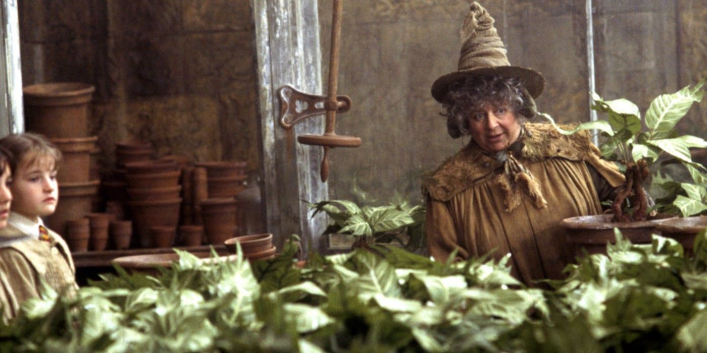 Professor Sprout teaches herbology in Harry Potter and the Chamber of Secrets