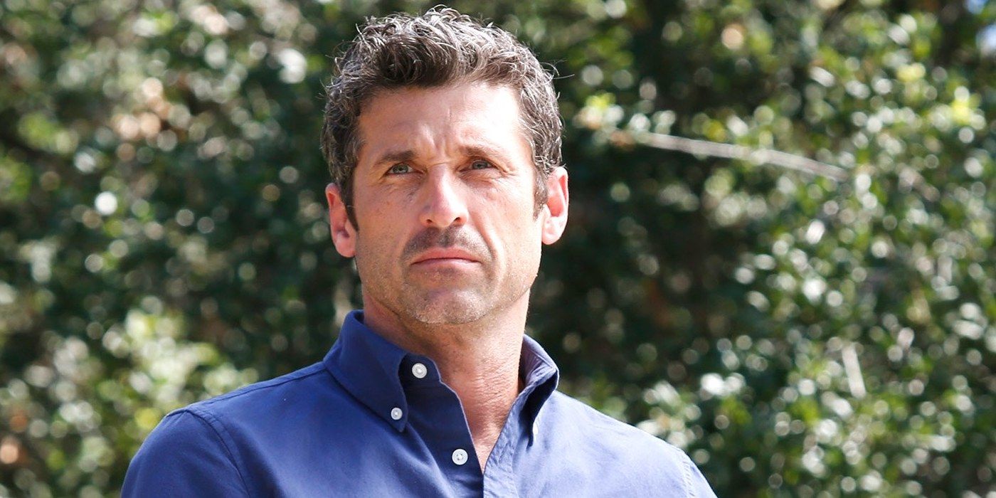 Patrick Dempsey as Derek Sheppard