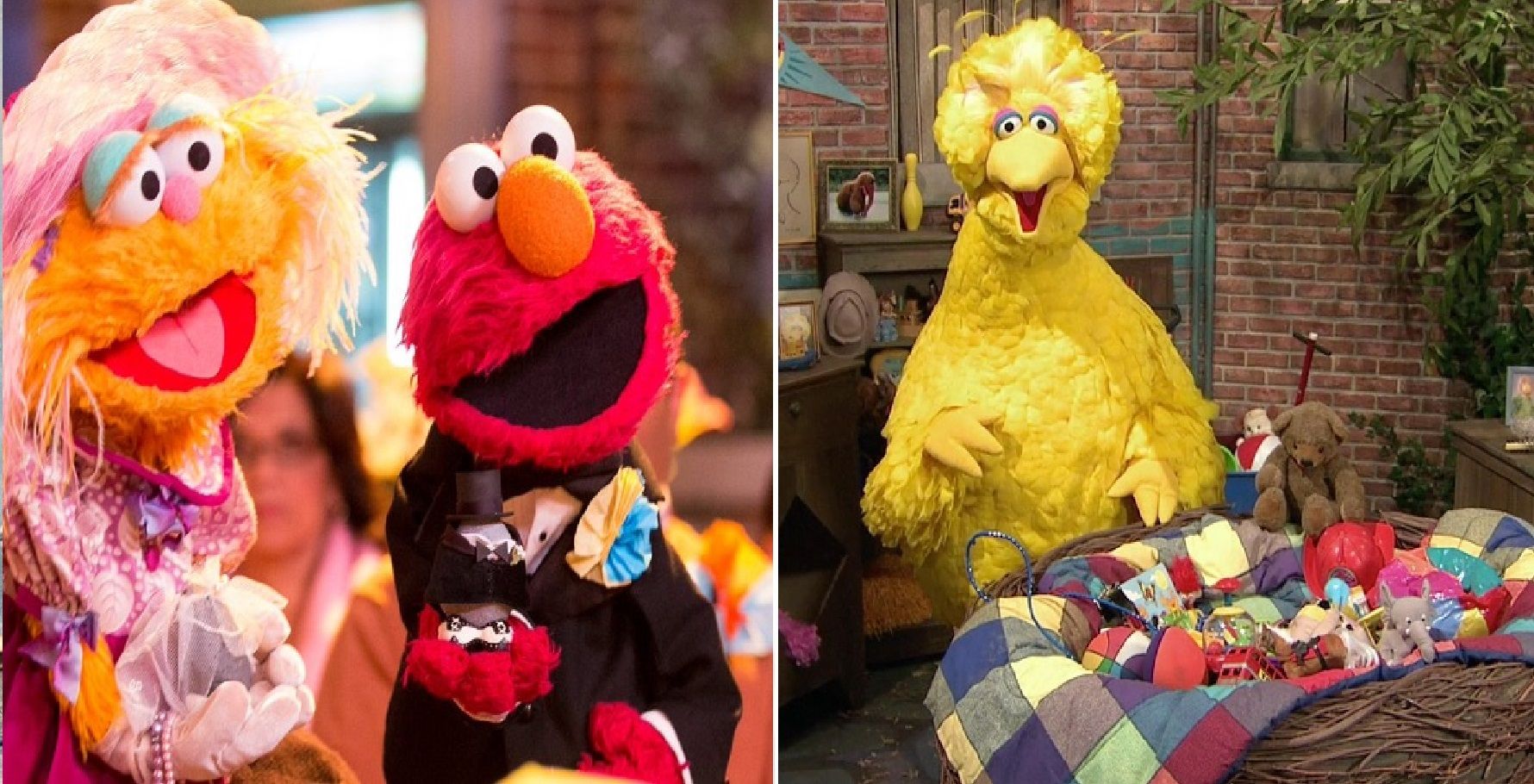 Sesame Street 10 Hidden Details About The Main Characters Everyone Missed