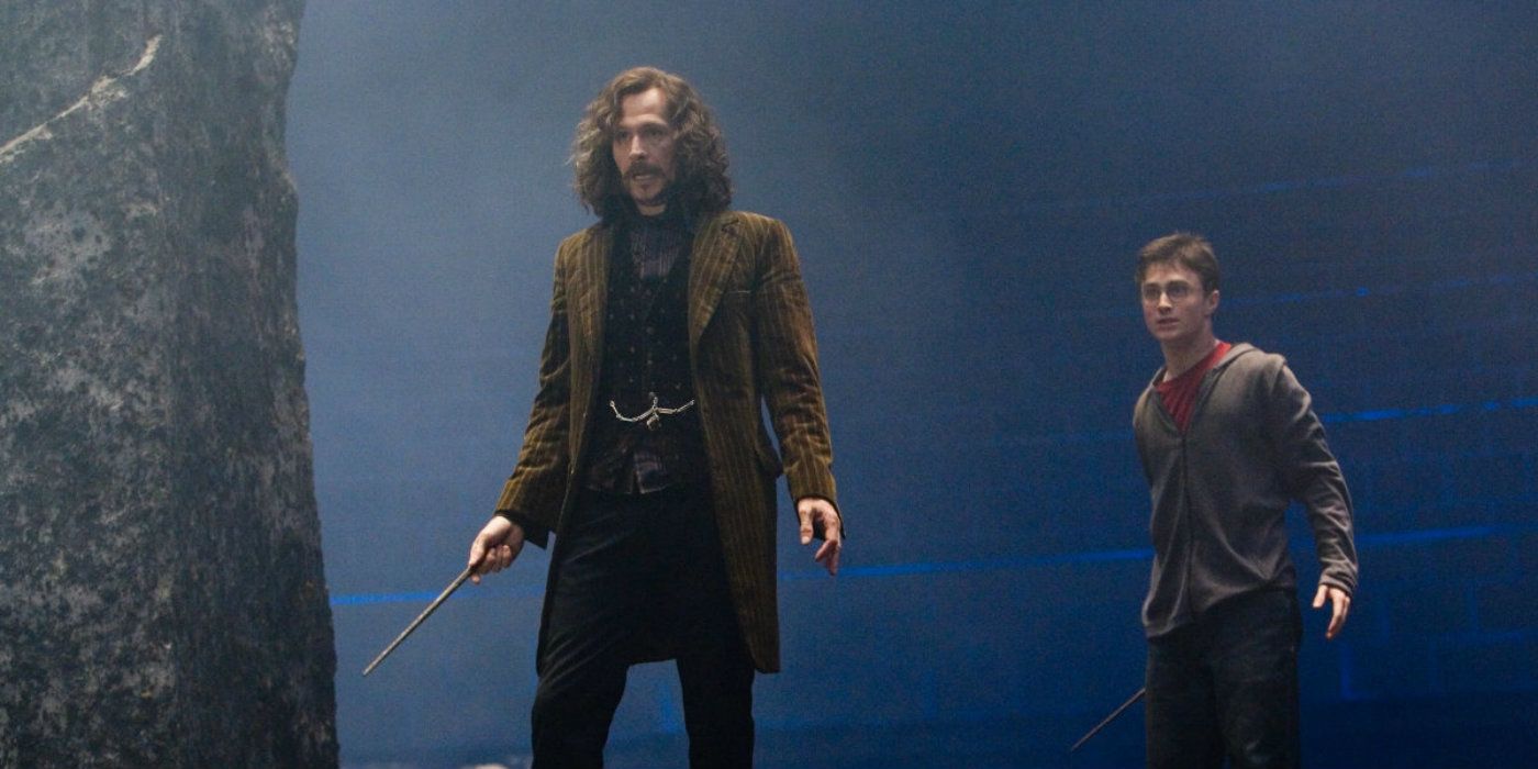 Sirius and Harry fight in the battle of the Department of Mysteries