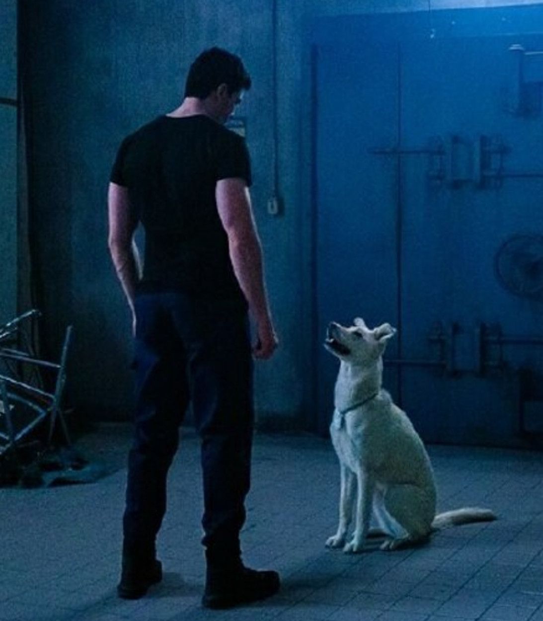 Titans A Superboy and His Dog, Krypto vertical