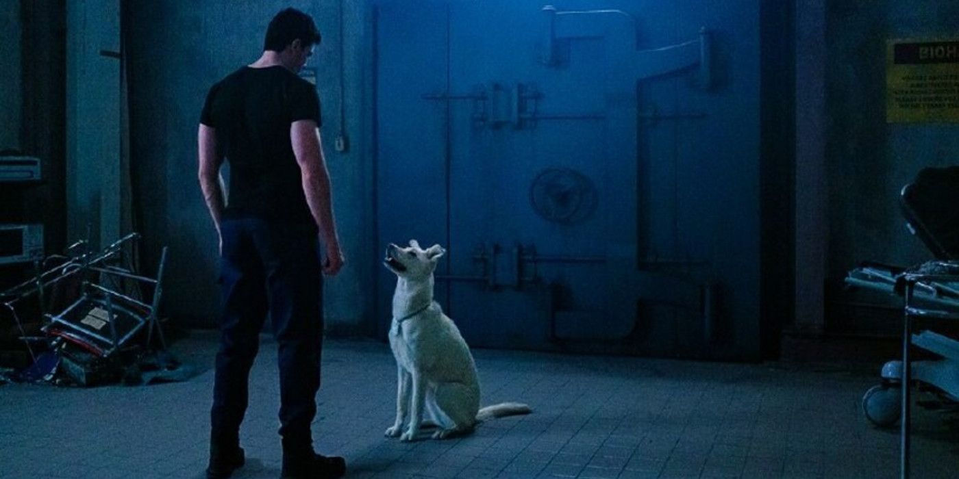 Titans A Superboy and His Dog, Krypto
