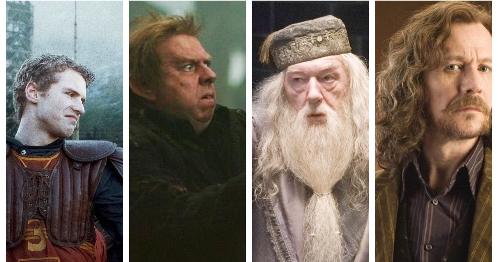 Harry Potter: 11 Most Evil Gryffindors Of The Whole Series