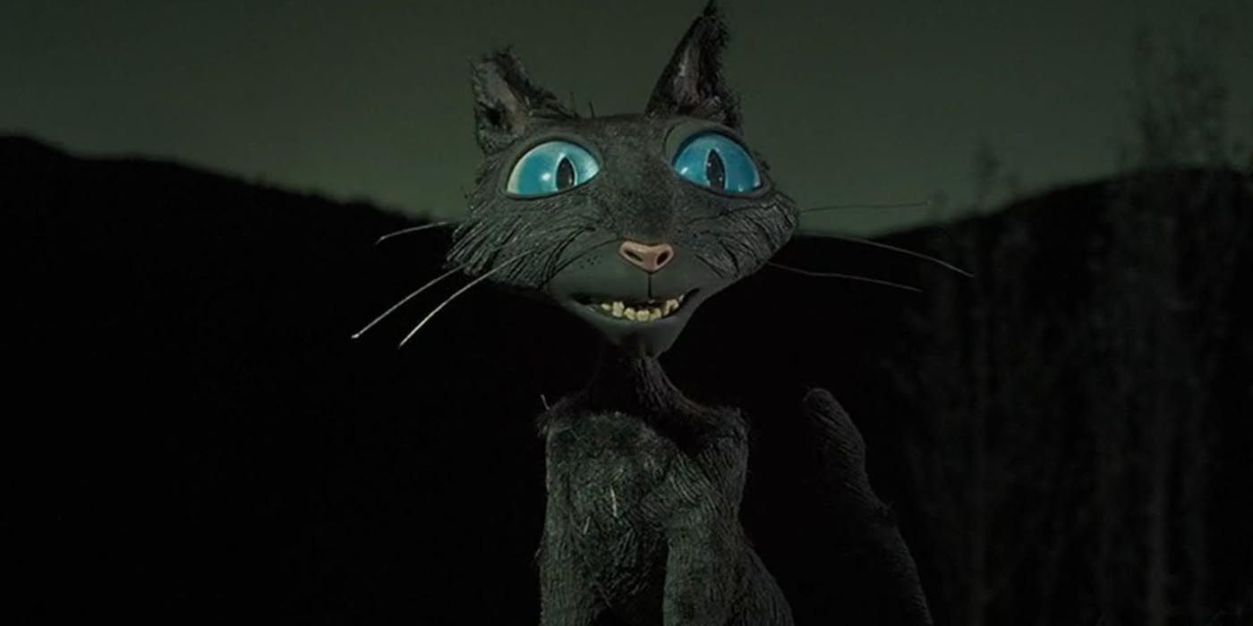 Coraline's cat looking shocked