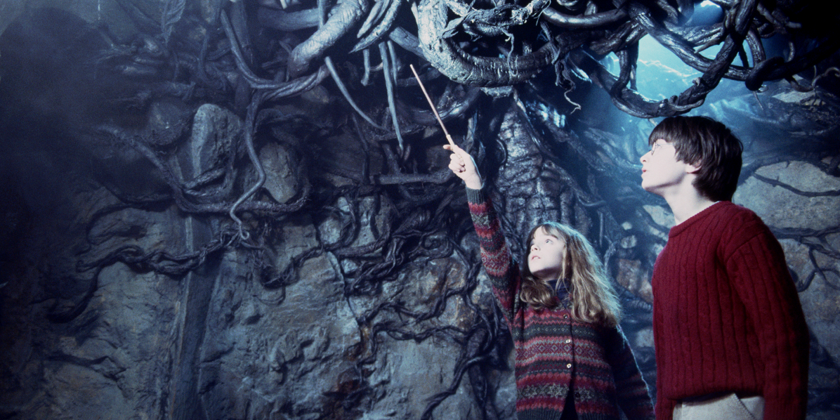 Hermione points her wand at Devils snare