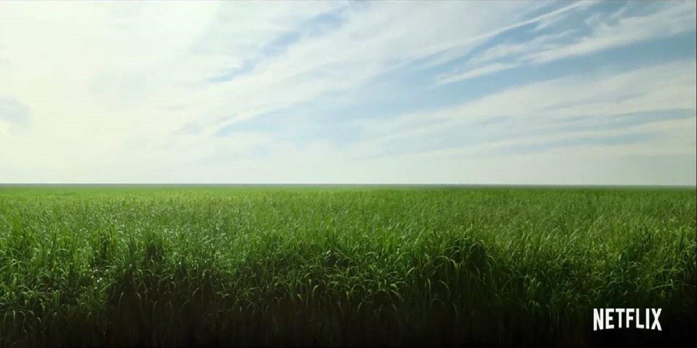 In The Tall Grass 10 Hidden Details Everyone Missed In The Stephen King Netflix Movie